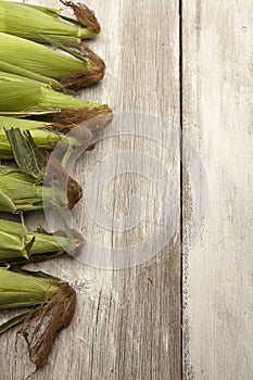 Sweet corn on a rustic table