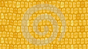 Sweet corn seamless pattern background for yellow page fill, wrapping paper. Fresh maize cob seamless texture. Healthy vegetarian