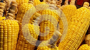 Sweet corns