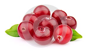 Sweet cranberries close up