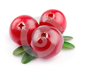 Sweet cranberries photo