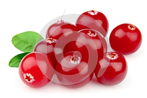 Sweet cranberries with leafs