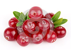 Sweet cranberries with leafs