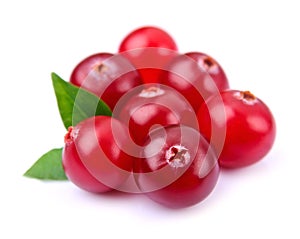Sweet cranberries with leafs