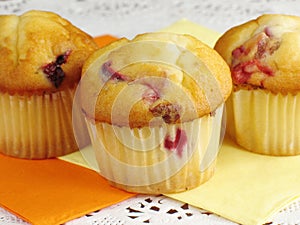 Sweet Cranberry Orange Muffins