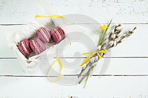 Sweet crimson french macaroons with box, daffodil (narcissus) and willow on light dyed wooden background