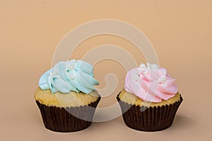 Sweet cup cake dessert on yellow background and copy space