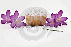 Sweet Cupcake And Purple Flowers