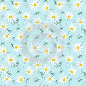 Sweet daisy flowers seamless pattern