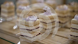 Sweet dessert at the buffet. Assorted different mini cakes with cream. selection of cakes Desserts on a table at a