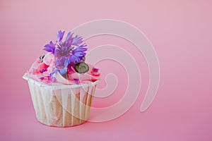Sweet dessert on pink background, copy space. Cupcake with cream, beautiful and delicious.