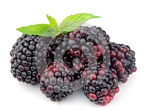 Sweet dewberry photo