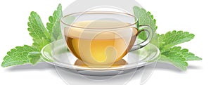 Tea cup with stevia leaves photo