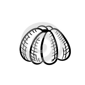 Hand drawn chocolate candy in Doodle style. Vector isolated illustration on a white background.