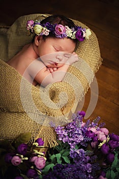 Sweet dreams of newborn baby. Beautiful little girl with lilac flowers