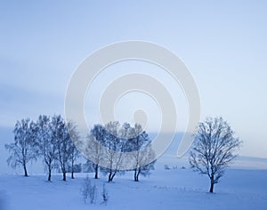 Sweet dreams under the snow blanket.