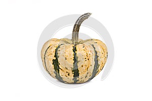 Sweet Dumpling Squash with green stripes on white background