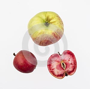 Sweet eating apples, malus domestica