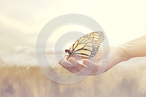 Sweet encounter between a human hand and a butterfly