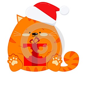 Sweet fat smiling little ginger striped cat with red gift in Santa Claus red christmas hat isolated on white background.