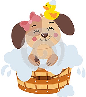 Sweet female puppy taking a bath in wooden tub with duck on head