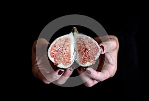 Sweet fig in woman hand