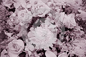 Sweet flowers bouquet, sepia toned for background