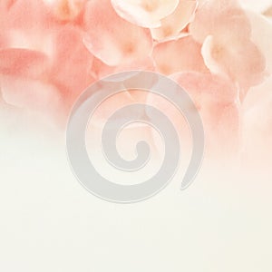 Sweet flowers in soft and blur style on mulberry paper texture