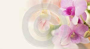 Sweet flowers in soft and blur style on mulberry paper texture