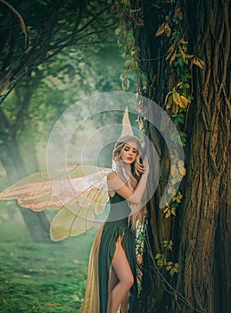 Sweet forest angel, nymph with perfect thick white hair in image of dreamy spirit with butterfly wings. attractive fairy