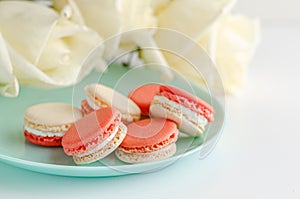 Sweet french macaroons on turquoise plate and white roses background. Greeting card