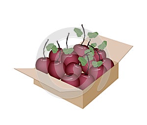 Sweet Fresh Apple in A Shipping Box