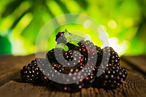 Sweet fresh blackberry