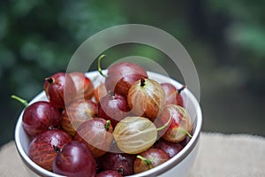 Sweet fresh cherries with water trops