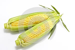 Sweet fresh corn