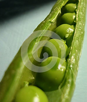 Sweet Garden Peas