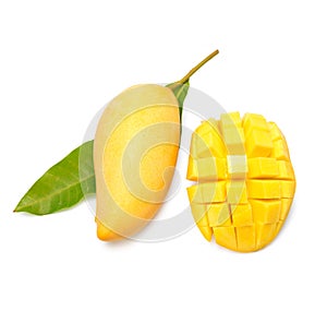 Sweet golden mango isolated on white background.