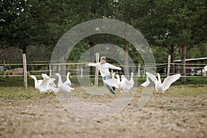 Sweet happy little girl running after a flock of geese on farm his arms to the side and smiling. Lifestyle portrait