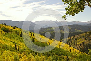 Forested mountain range