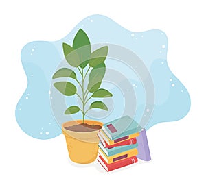 Sweet home potted plant and stack books