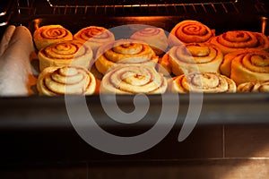 Sweet homemade cinnamon roll on a metal a baking sheet in the oven