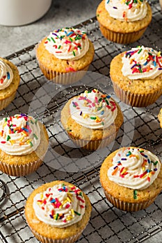 Sweet Homemade Funfetti Cupcakes