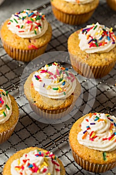Sweet Homemade Funfetti Cupcakes