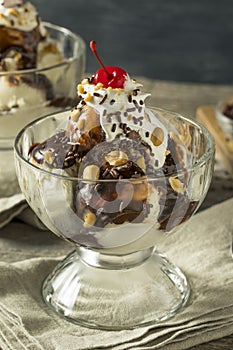 Sweet Homemade Ice Cream Sundae