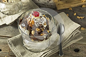 Sweet Homemade Ice Cream Sundae