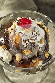 Sweet Homemade Ice Cream Sundae