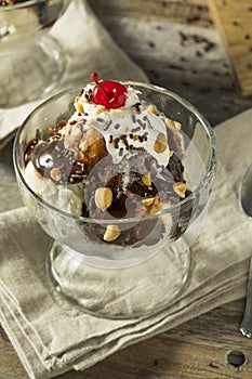 Sweet Homemade Ice Cream Sundae