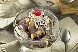 Sweet Homemade Ice Cream Sundae