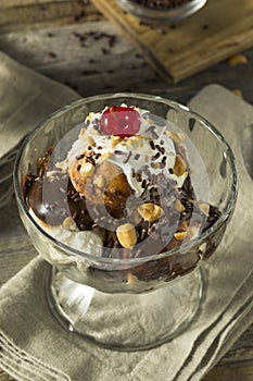 Sweet Homemade Ice Cream Sundae