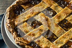 Sweet Homemade Mincemeat Pie